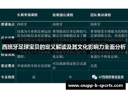 西班牙足球宝贝的定义解读及其文化影响力全面分析