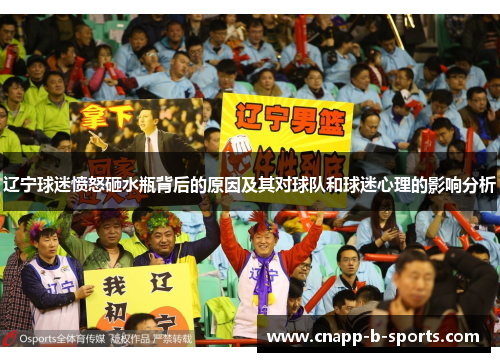 辽宁球迷愤怒砸水瓶背后的原因及其对球队和球迷心理的影响分析