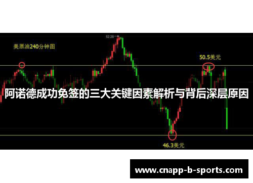 阿诺德成功免签的三大关键因素解析与背后深层原因 阿诺德成功免签的三大关键因素解析与背后深层原因