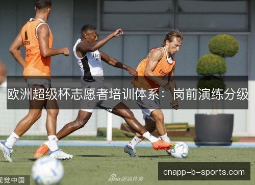欧洲超级杯志愿者培训体系：岗前演练分级