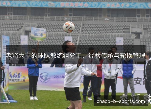 老将为主的球队教练组分工，经验传承与轮换管理